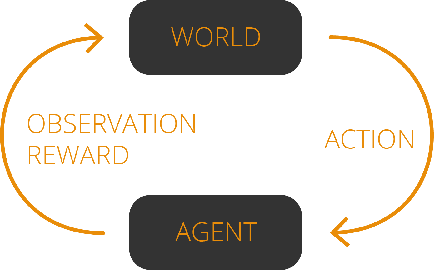Process of observation and action in reinforcement learning