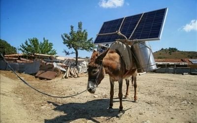 Sun and AI: How Solar Energy Systems can be improved with Algorithms